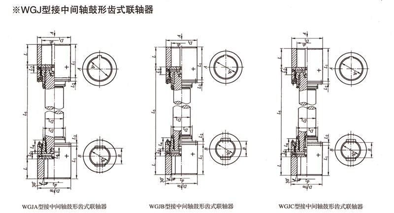 WGJ型接中間軸鼓形齒式聯軸器